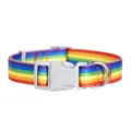 Collar de perro de nailon arco iris colorido ajustable para mascotas pequenas y medias - Collar - Arcoíris