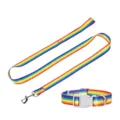 Set de correa y collar ajustable de arcoíris, material de nailon duradero para perros pequeños. - Correa + collar - Color arcoíris