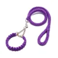 Set de correa y collar de adiestramiento para perros trenzado morado, nylon resistente. - Púrpura (Embalaje individual)