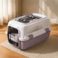 Portable pet transport box for cats and dogs, taro purple, skylight type, 51x31x35cm. - Sky Window Style / Size M (Under 5kg) / Taro Purple