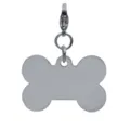 Stainless steel bone shaped pet ID tag pendant detail close up, blank metal name tag. - L / Steel
