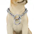 Stainless steel pet dog chain collar 15mm heavy duty metal O ring P chain detail view closeup. - 10 Inches / 25cm / Gold