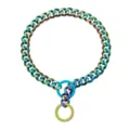 Colorful stainless steel pet chain detail shot showing the durable metal links and rings. - 14 Inch / 35cm / Rainbow