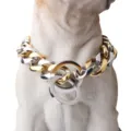 19mm stainless steel dog chain collar detail, two-tone gold and silver heavy metal link design. - 12 inch/30.5cm / Two-Tone (P-Chain Style)