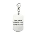 Stainless steel dog tag pendant close-up view showing engraved custom text details. - Shield / Steel