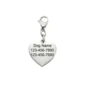 Stainless steel heart pet ID tag pendant with lobster clasp and custom engraving detail. - Heart / Steel