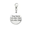 Stainless steel round pet ID tag detail, featuring a lobster clasp and custom engraving space. - Round Tag / Steel