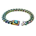 19mm Rainbow Stainless Steel Cuban Link Dog Collar, Heavy Duty Pet Chain with Secure Buckle - 12inches/30cm / Rainbow
