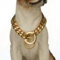 Gold 15mm stainless steel heavy dog chain collar with double ring for pet accessories. - 14 Inch / 35cm / Gold