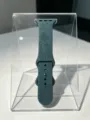 Cinturino in silicone inciso compatibile con Apple Watch di tarassaco floreale ricambio - 40/41 mm / Tarassaco verde pino