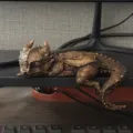 Resin sleeping dragon figurine, vintage bronze desk decor, fantasy bookshelf ornament. - Sleeping Dragon / Bronze