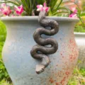 Ornamento appendiabiti per vaso di fiori di serpente in bronzo per giardino e casa - Ornamento Sospeso a Serpente / Bronzo