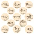 Ensemble de disques jalons de bebe en bois 13 pieces cartes mensuelles accessoires. - 10cm / Vert clair