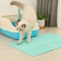 Katzenklo Vorleger Wabenmatte Katzenstreu Matte Haustier Katzenklo Zubehör grüne Hauptansicht - 300mm*200mm / Blau