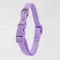 Collare per cani impermeabile viola con fibbia in plastica e anello in metallo per piccoli animali. - Collare Taglia S / Viola