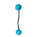 Blue Dog Chew Toy Ball with Elastic Rope Durable Teething Pet Interactive Training SKU - 5cm / Blue - 5cm Treat Dispensing Ball (with Suction Cup)