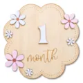 Wooden baby milestone monthly plaque photography prop with cute floral design and numbers. - 15cm / Style 3