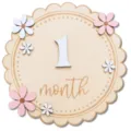 Wooden baby milestone monthly plaque newborn photo prop floral 1 month marker decor cute - 15cm / Style 2