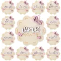 Wooden baby monthly milestone cards set with cute pink butterfly decor for newborn growth. - Style 1 / 10-5CM
