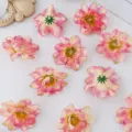 Cabezas de flores de crisantemo rosa artificiales para guirlandas DIY y accesorios. - Rosa Champaña