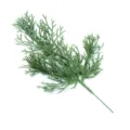 Kunstmatige dennentak groene nepceder voor kerstboom krans decoratie en bloemstukken. - Kerst dennentakken