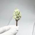 Miniature cherry blossom tree model for architectural sand table DIY micro landscape - No. 04 Tree Height 4cm