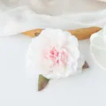 Tête de Pivoine Artificielle Blanche Rose Soie Rose Fausse Fleur DIY Déco Mariage - Dégradé Rose Blanc