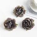 Cabezas de peonías artificiales moradas oscuras para manualidades y decoración de bodas. - Verde