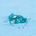 Resin Spotted Stingray Figurine Cute Miniature Sea Animal Ornament Blue Fish Tank Decor - Stingray (No.8)