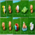 Süße Miniatur Capybara Tier Harz Figuren Set für Desktop Garten Dekoration Handwerk. - Wasserschwein und Freunde (Je 1 Stück pro Modell)