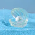 Mini Resin Shell Pearl Ornament Blue Variant Miniature Sandbox Aquarium Decor 2cm - No. 8 Shell
