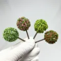 Miniature model trees for architectural sandbox DIY micro landscape scene decoration craft supplies. - 13 Trees, 6cm Height