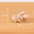 Miniature simulation ginger figurine for micro landscape succulent potted plant desktop decoration 2cm - No. 6 Ginger