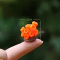 Miniature orange coral sea anemone figurine micro landscape toy desktop ornament 2cm size - Orange Coral (Simple Packaging)