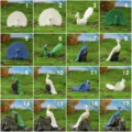 Resin Peacock Figurine Micro Landscape Succulent Ornament Cute Desktop Decor Craft 16 Styles - 1 Each of No. 1–17