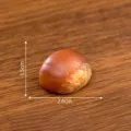 Modelo de castaña de resina en miniatura realista, utilería de fotografía DIY y micro paisaje. - N.º 11 castaña