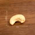 Modelo en miniatura de anacardo de resina, accesorio realista para micropaisaje DIY. - N.º 14 anacardo grande