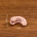 Modelo de anacardo de resina en miniatura, accesorio fotográfico realista y decoración DIY. - N.º 16 anacardo