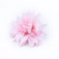 Artificial pink dahlia silk flower for home decor photography and hair accessories. - Pink