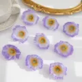 Paarse kunstmatige klaproos bloemkoppen, vintage DIY accessoires voor bruiloft en huisdecoratie. - Paars Wit
