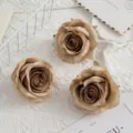 Kunstmatige champagne rozenbloemkoppen voor bruidsboeketten en fotografie rekwisieten detail. - Koffie