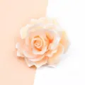 Flor de rosa artificial de tela flocada, ideal para horquillas o broches de bricolaje. - Champán