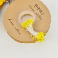 Gelbe künstliche Blumenstaubblätter Bastelzubehör für DIY handgemachte Rosen und Blumenkunst. - Perlmutt-Stil / 65 Stück/Packung / Perlmutteffekt Zitronengelb