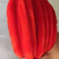 Red fuzzy pipe cleaners chenille stems for DIY craft projects, fluffy 10mm thick red wire. - Vermilion