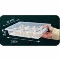 Großer flacher transparenter Lebensmittelbehälter mit Abtropfschale für Kühlschrank - Groß - Niedrig & Breit