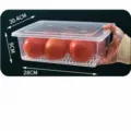 Große japanische lebensmittelechte Kühlschrank-Aufbewahrungsbox mit Abtropfschale - Groß - Hoch & Breit