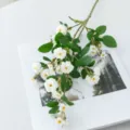 Lange tak kunstmatige kleine roos witte zijden bloem voor thuis huwelijk fotografie decoratie. - Wit