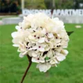 Artificial hydrangea single stem vintage silk flower for home wedding decoration prop - White