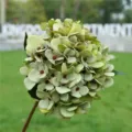 Nahaufnahme der vintage grünen künstlichen Hortensie für Heimdekoration und Blumenarrangements. - Grün