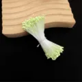 Künstliche Blumenstamen perlmuttfarben Pistillen DIY Handwerk Rosen Material Zubehör grün - Flacher Rosenkopf / 330 Stück/Packung / Obstgrün